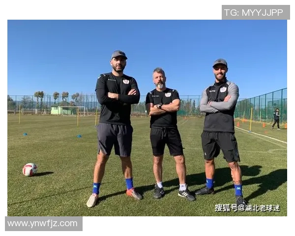 武汉乒乓球队比赛经验的变革与热议探讨新视角